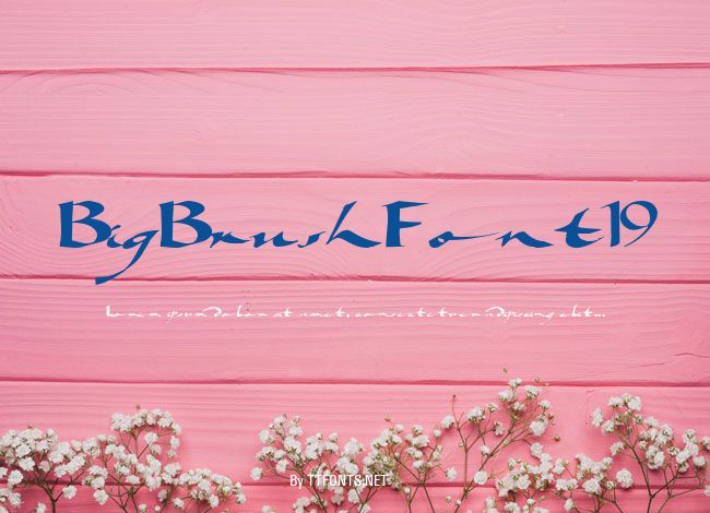BigBrushFont19 example
