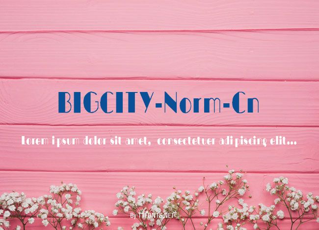 BIGCITY-Norm-Cn example