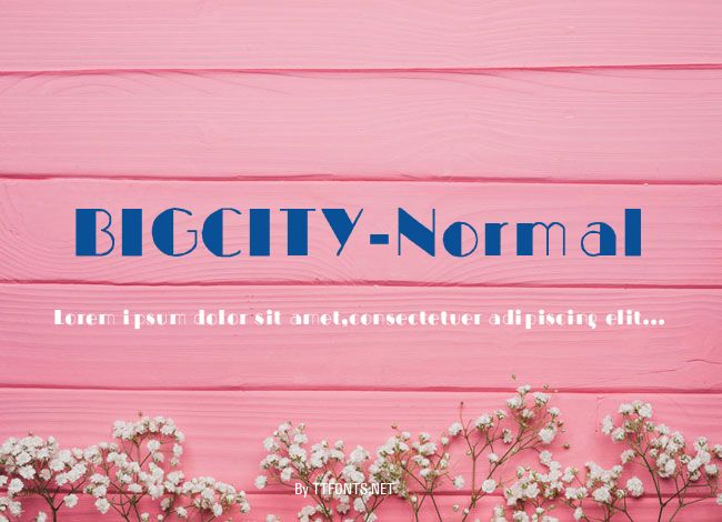 BIGCITY-Normal example