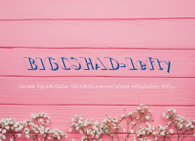 BIGCSHAD-Lefty example