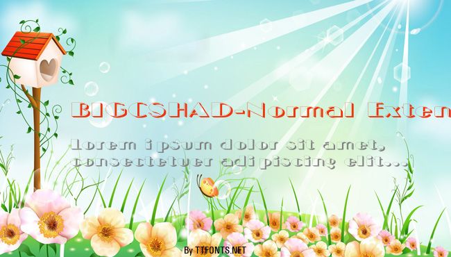 BIGCSHAD-Normal Extended example