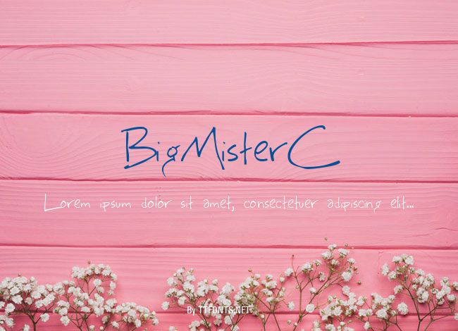 BigMisterC example