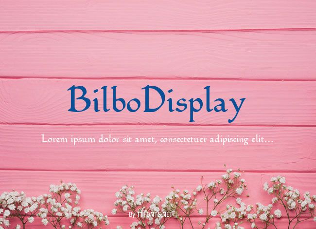 BilboDisplay example
