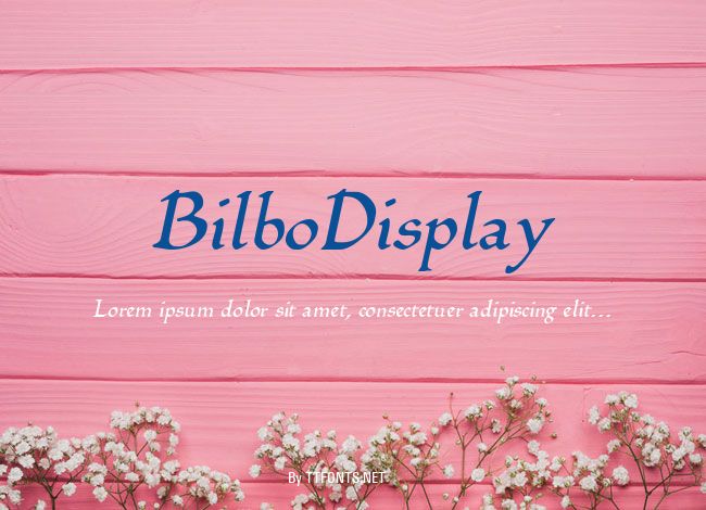 BilboDisplay example