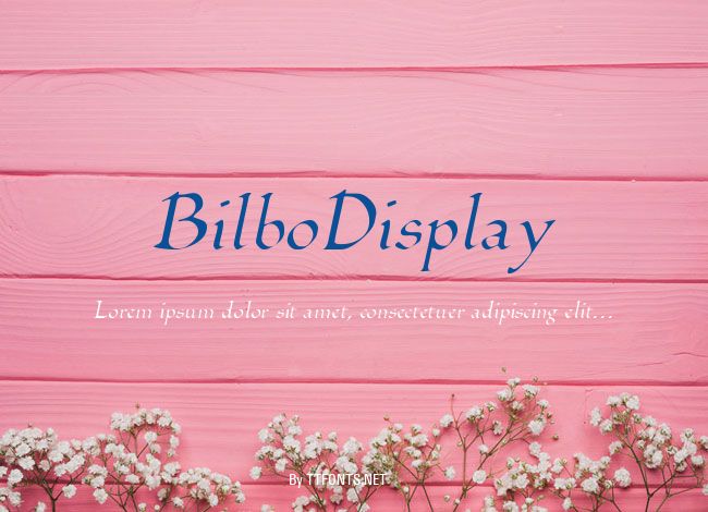 BilboDisplay example