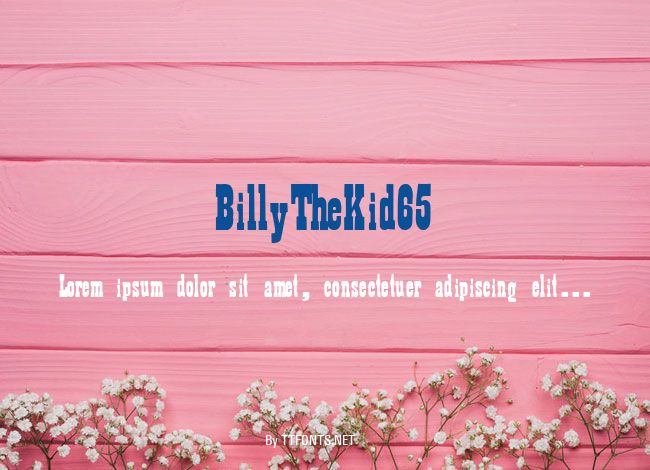 BillyTheKid65 example