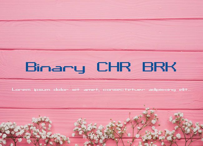 Binary CHR BRK example