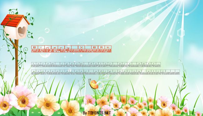 Binary X BRK example