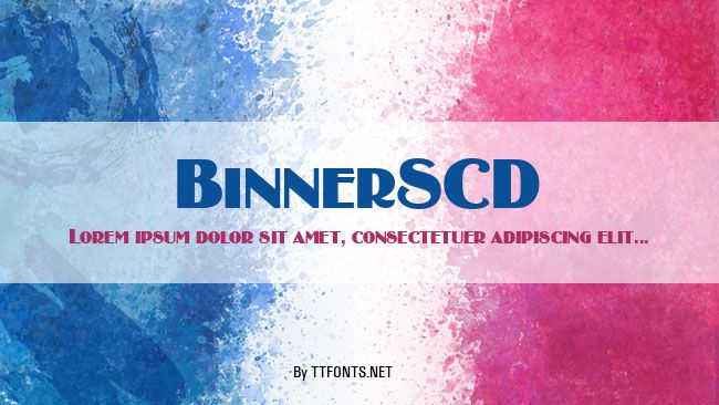 BinnerSCD example