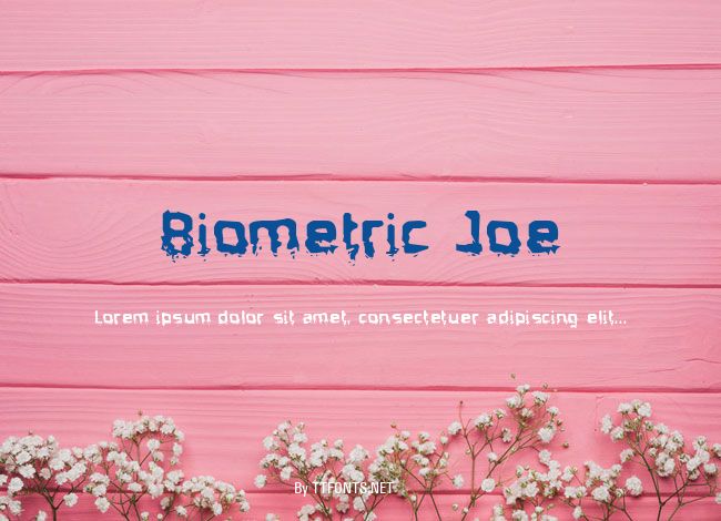 Biometric Joe example
