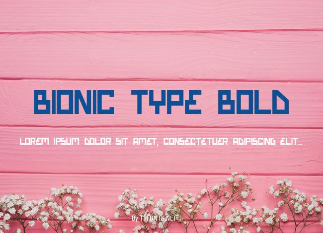 Bionic Type Bold example