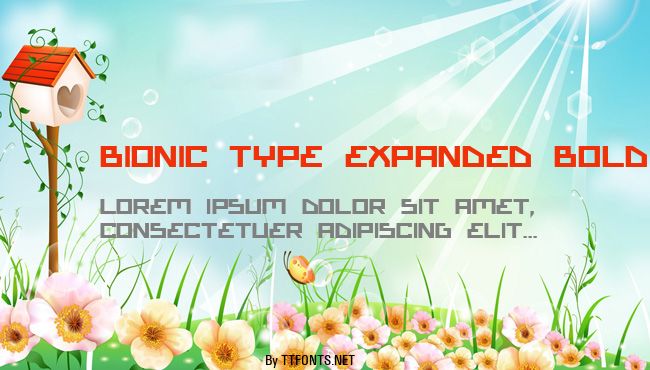 Bionic Type Expanded Bold example