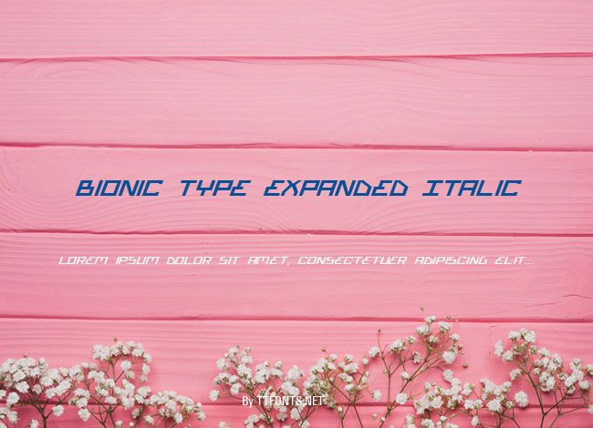 Bionic Type Expanded Italic example