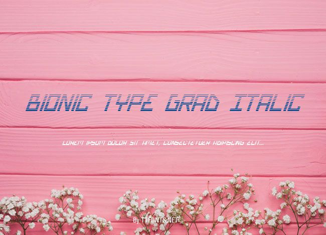Bionic Type Grad Italic example