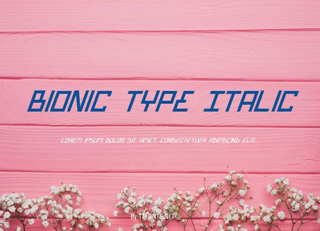 Bionic Type Italic example