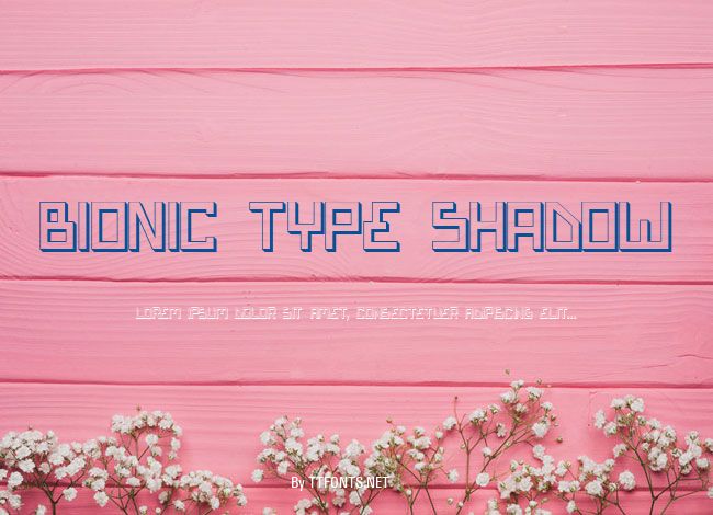 Bionic Type Shadow example