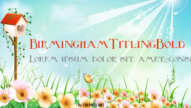 BirminghamTitlingBold example