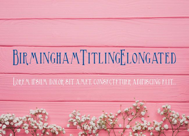 BirminghamTitlingElongated example