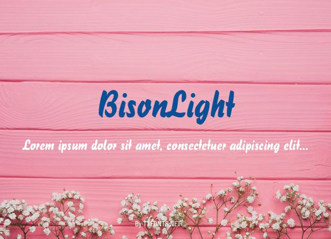 BisonLight example