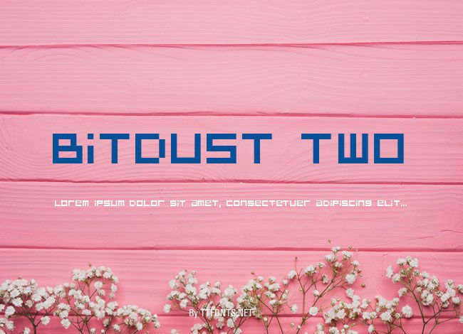 BitDust Two example