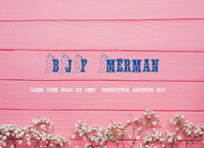 BJF Merman example