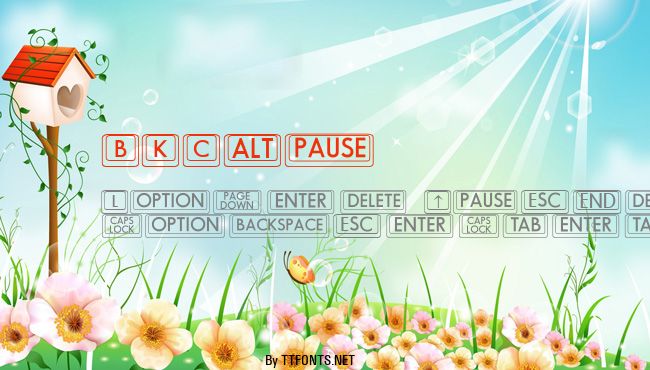 BKCap example