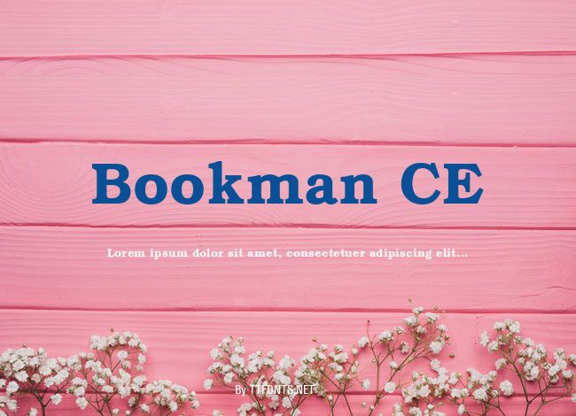 Bookman CE example