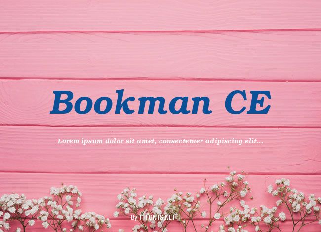 Bookman CE example