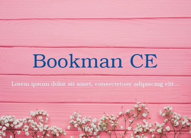 Bookman CE example