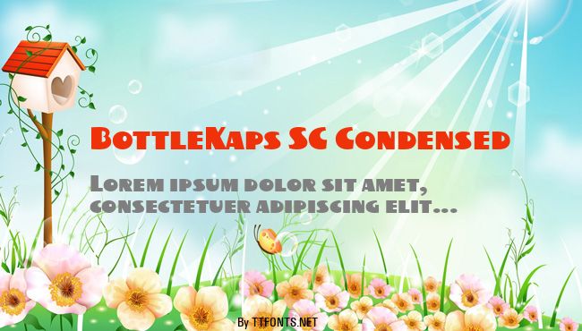 BottleKaps SC Condensed example