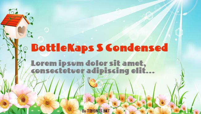 BottleKaps S Condensed example