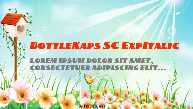 BottleKaps SC ExpItalic example