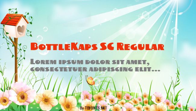BottleKaps SC Regular example