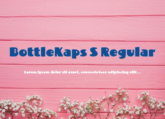 BottleKaps S Regular example