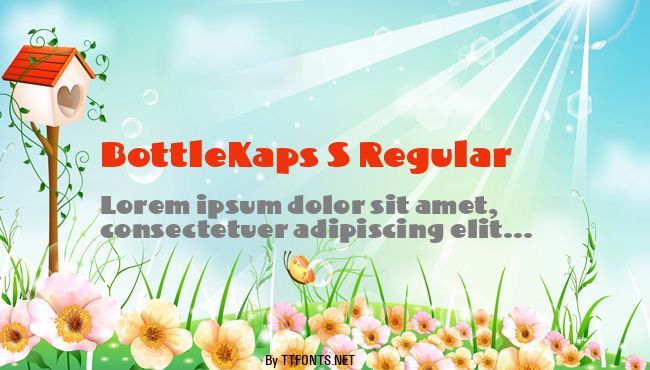 BottleKaps S Regular example