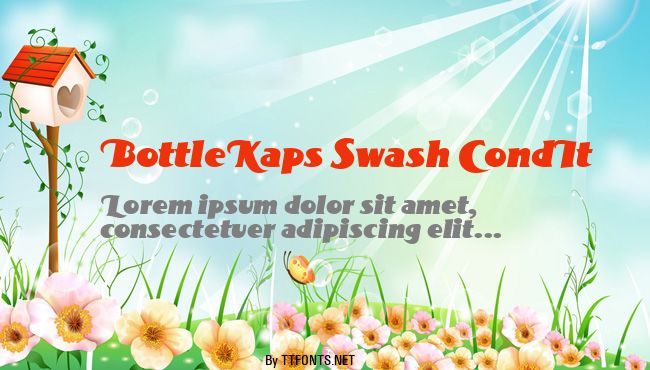 BottleKaps Swash CondIt example