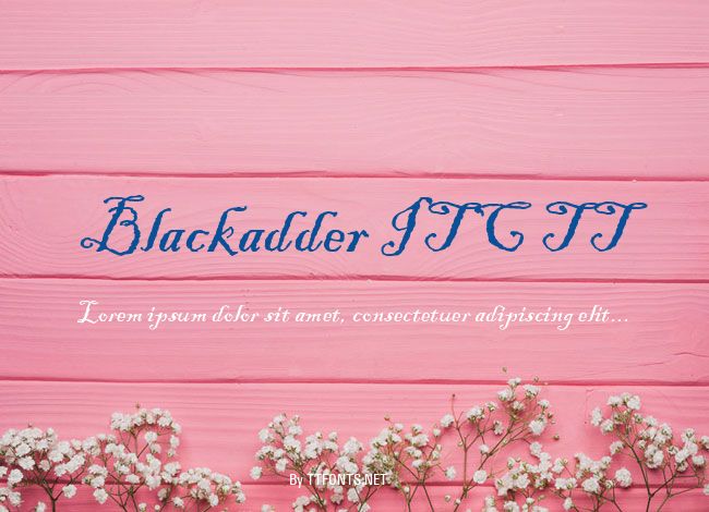 Blackadder ITC TT example