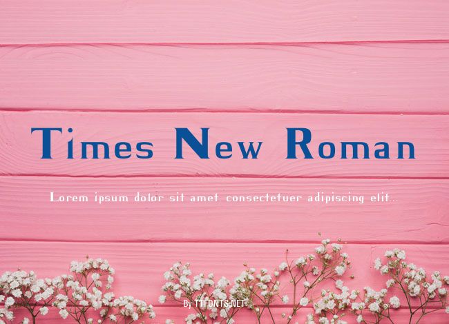 Times New Roman example