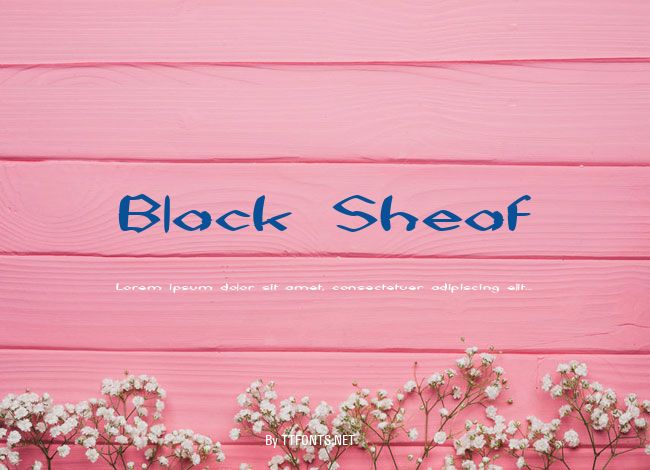 Black Sheaf example