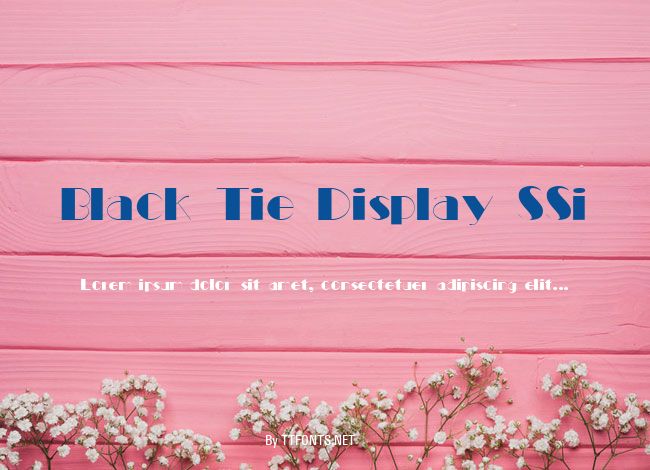 Black Tie Display SSi example