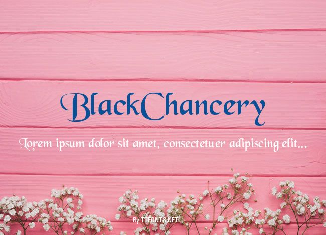 BlackChancery example