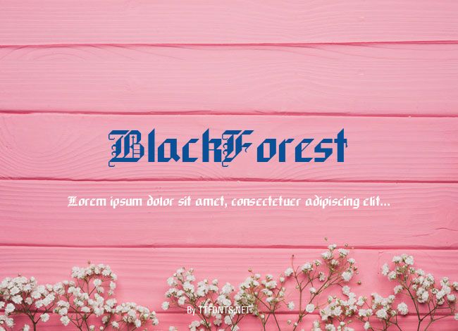 BlackForest example