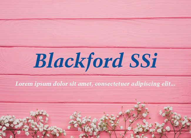 Blackford SSi example