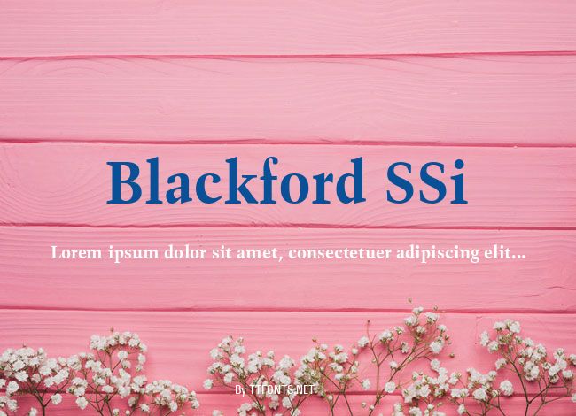 Blackford SSi example