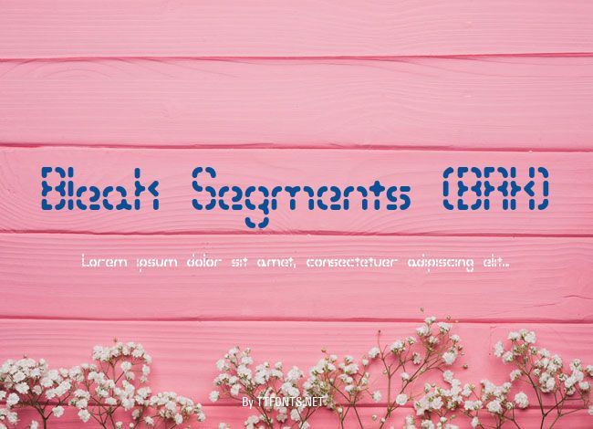 Bleak Segments (BRK) example