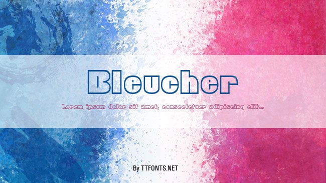 Bleucher example