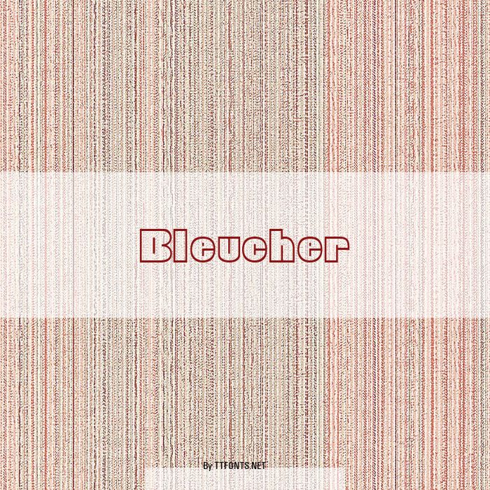 Bleucher example