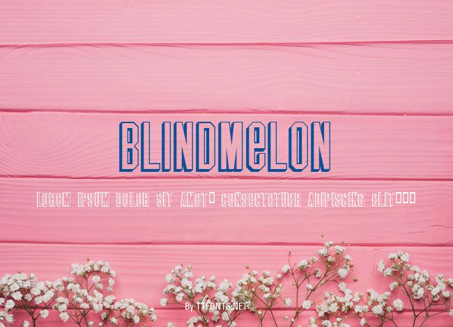 BlindMelon example