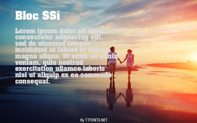 Bloc SSi example