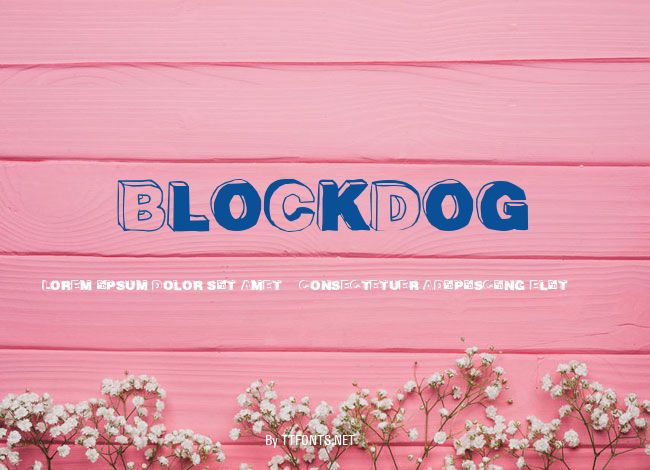 BlockDog example